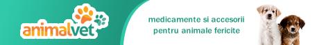 www.animal-vet.ro